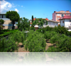 Panorama dal balcone